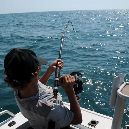 "Private tour cancun riviera maya", "Airport transfer cancun"