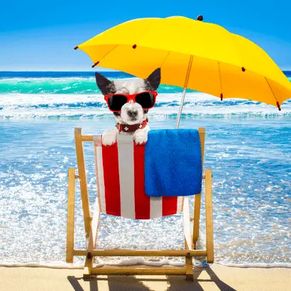 "Private tour cancun riviera maya", "Airport transfer cancun"