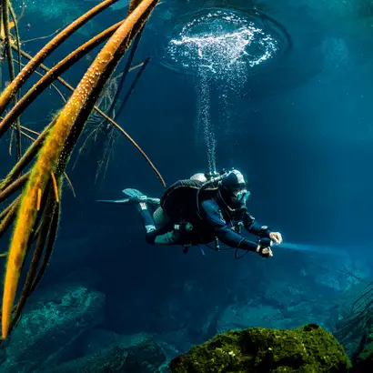 "Private tour cancun riviera maya", "Airport transfer cancun"