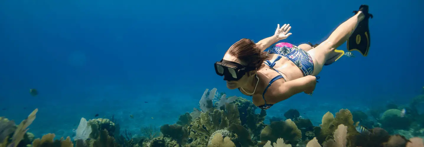 "Private tour cancun riviera maya", "Airport transfer cancun"