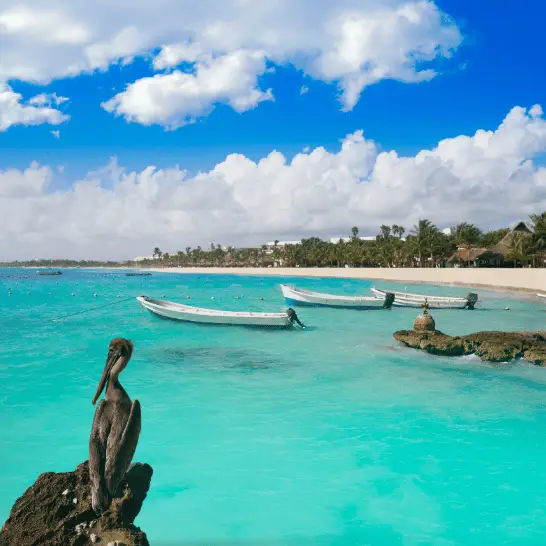 "Private tour cancun riviera maya", "Airport transfer cancun"